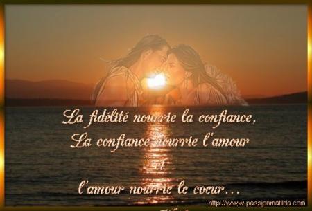 amour